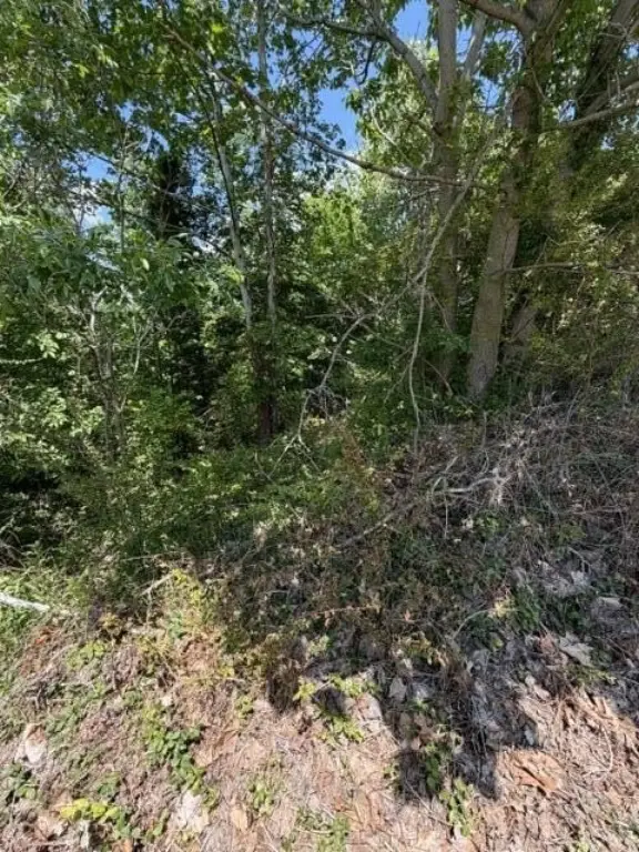 Picture 8