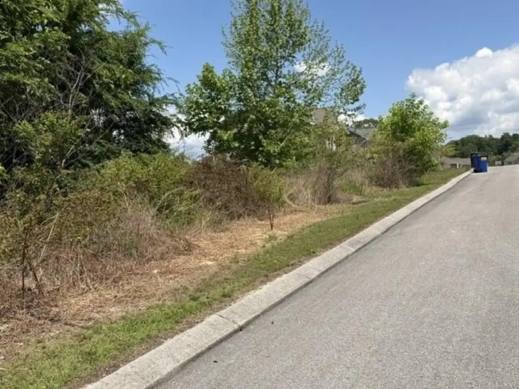 Picture 15