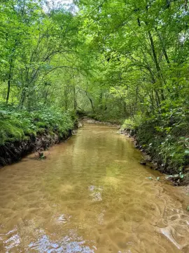 40-Acre Land in Winston County