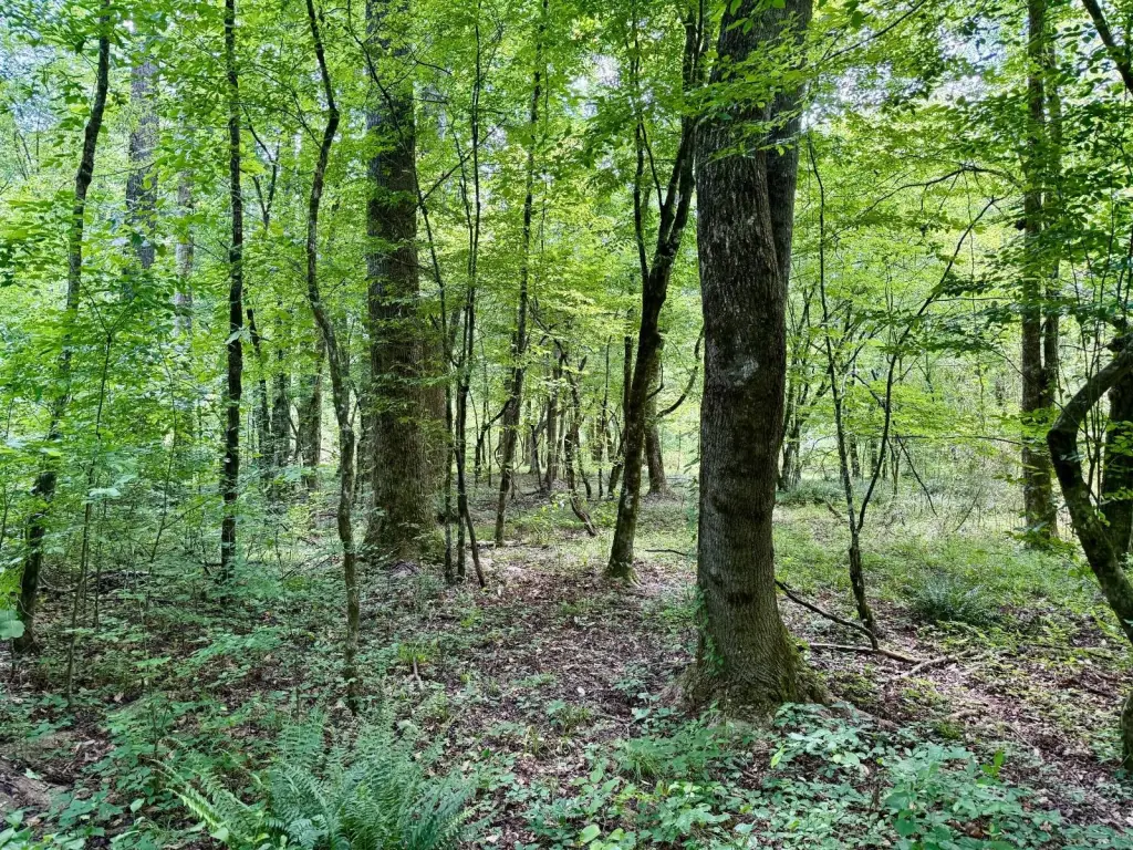 Picture 20