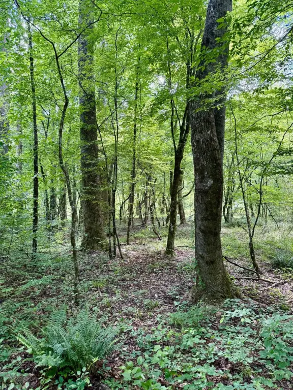Picture 7