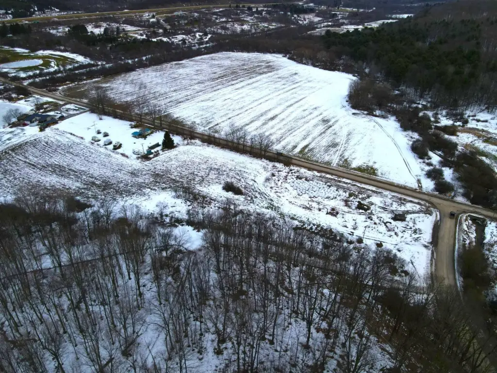 Picture 5