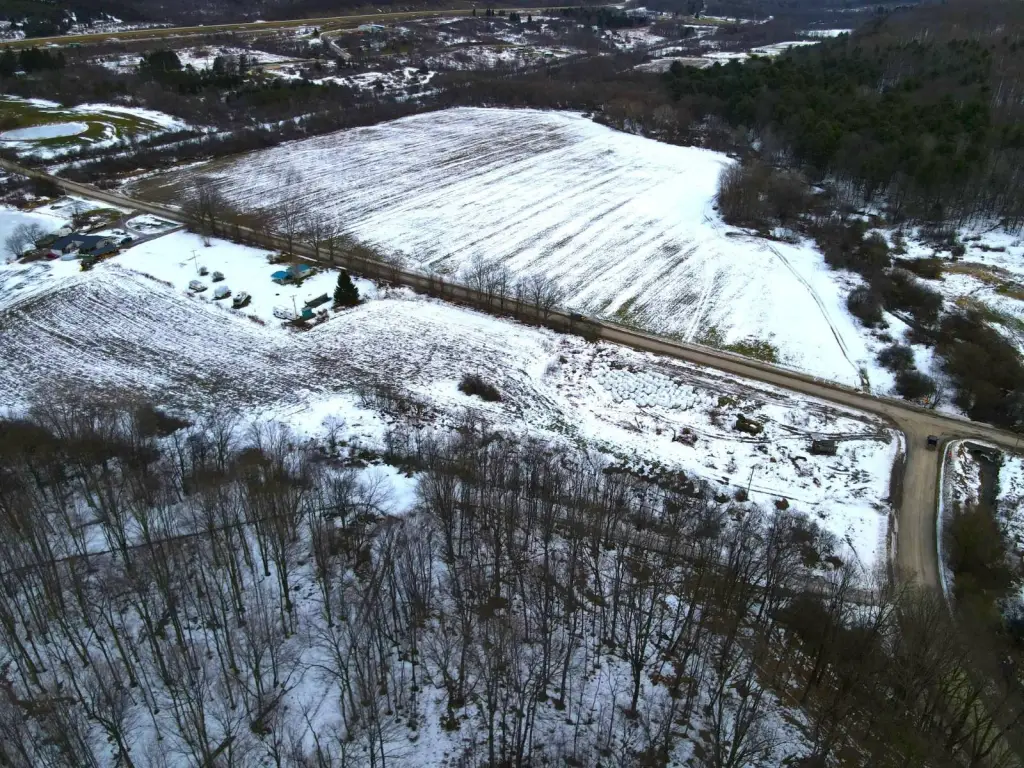 Picture 6
