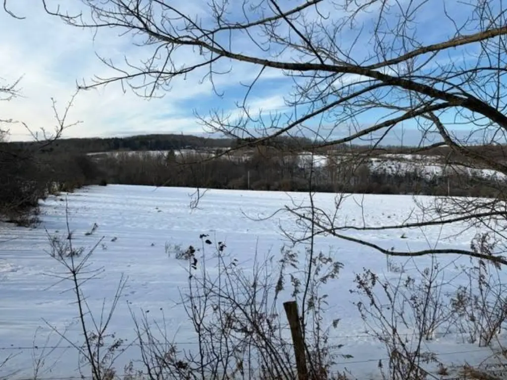 Picture 11