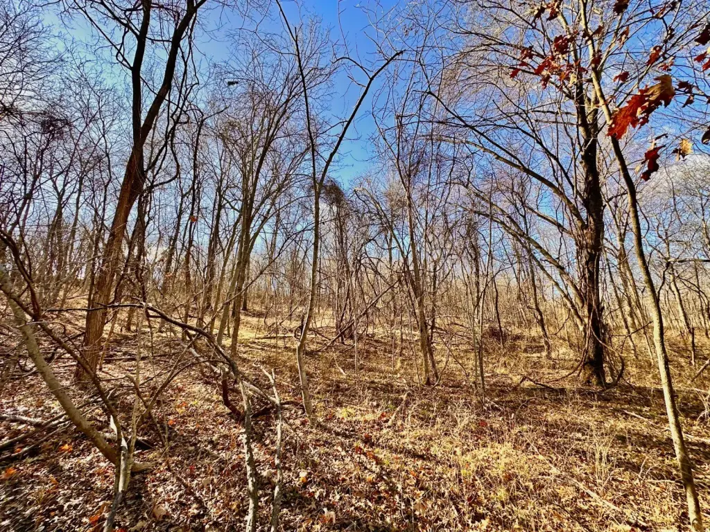 Picture 6