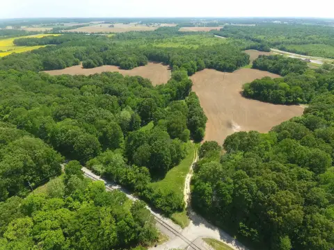 Farm Land Near Obion River