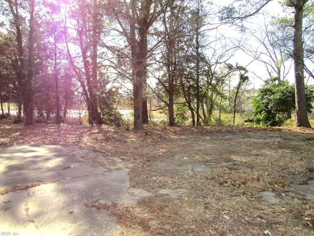 Picture 48