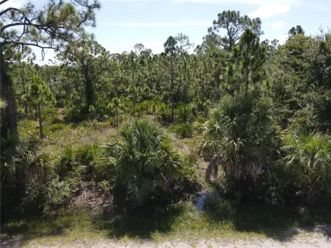 Land in Tropical Gulf Acres