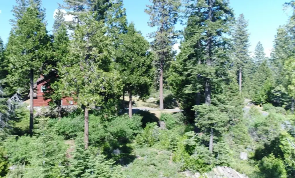 Picture 4