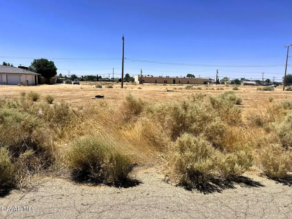 Picture 6