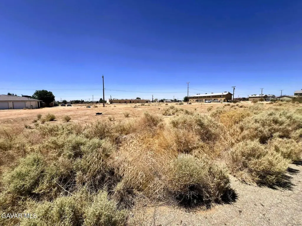 Picture 3