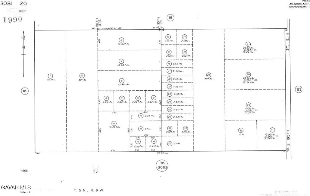 Picture 3
