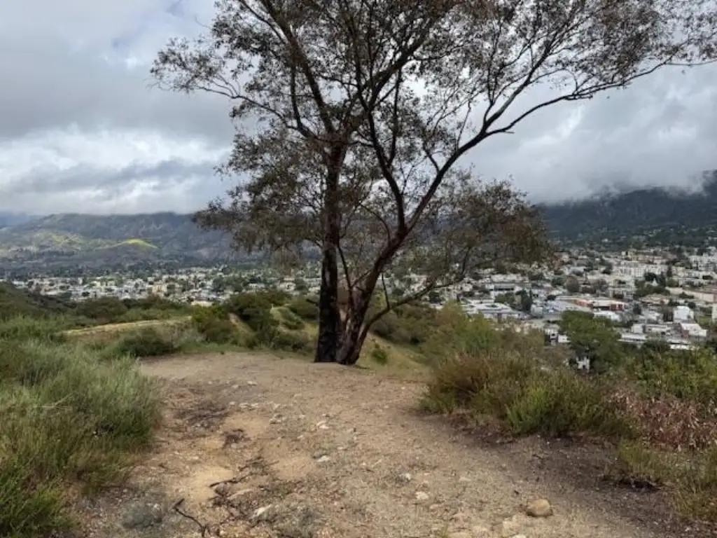 Picture 13