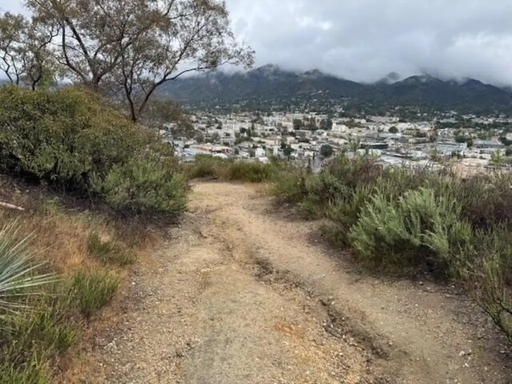 Picture 16