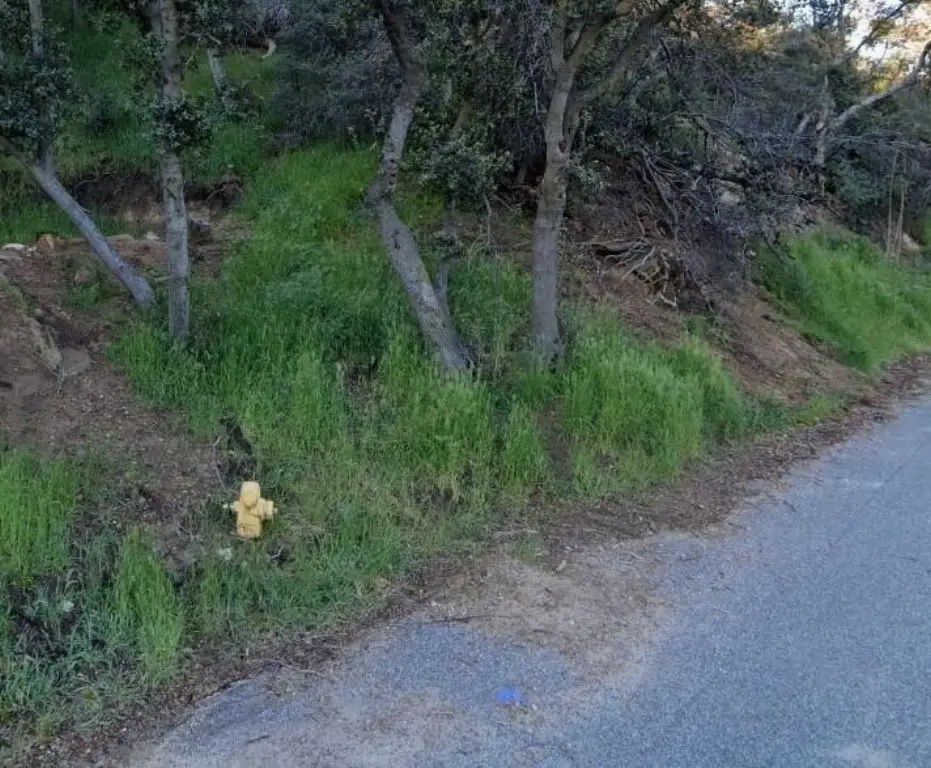 Picture 4