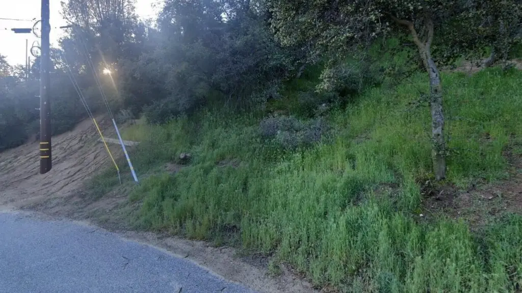 Picture 5