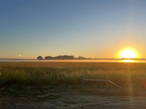 290 Acres Farm and Ranch Land