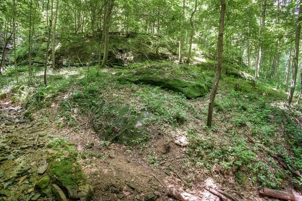 Picture 16