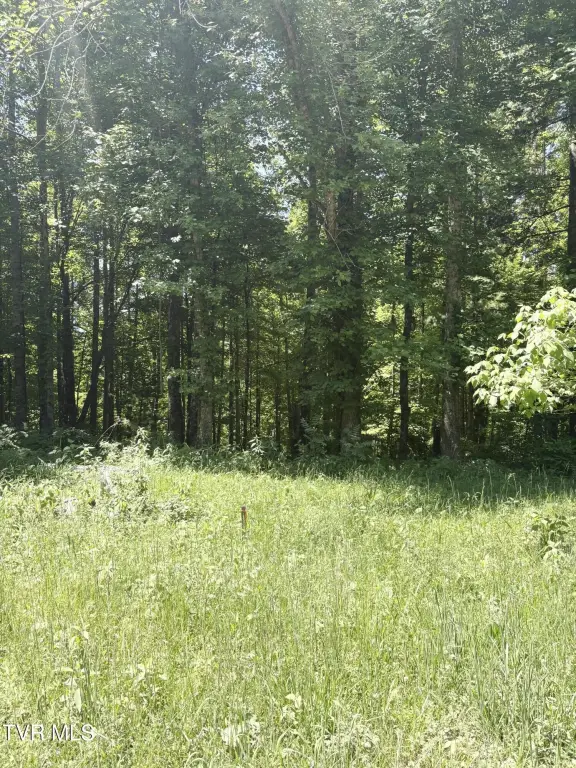 Picture 21