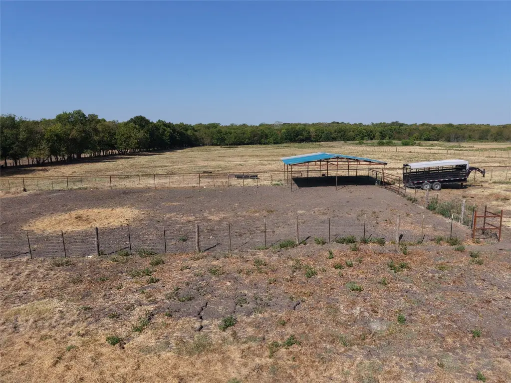 Picture 8