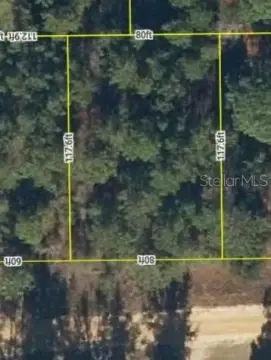 Vacant Residential Lot in Interlachen