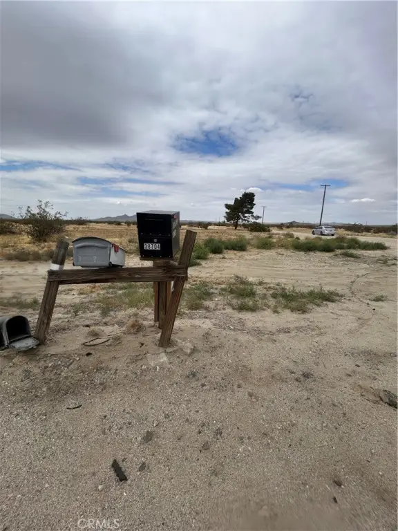 Picture 5