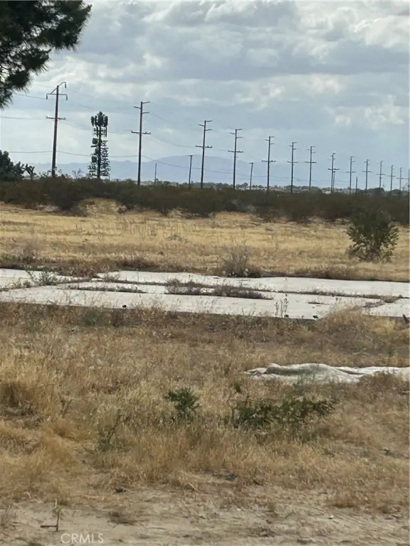 Picture 6
