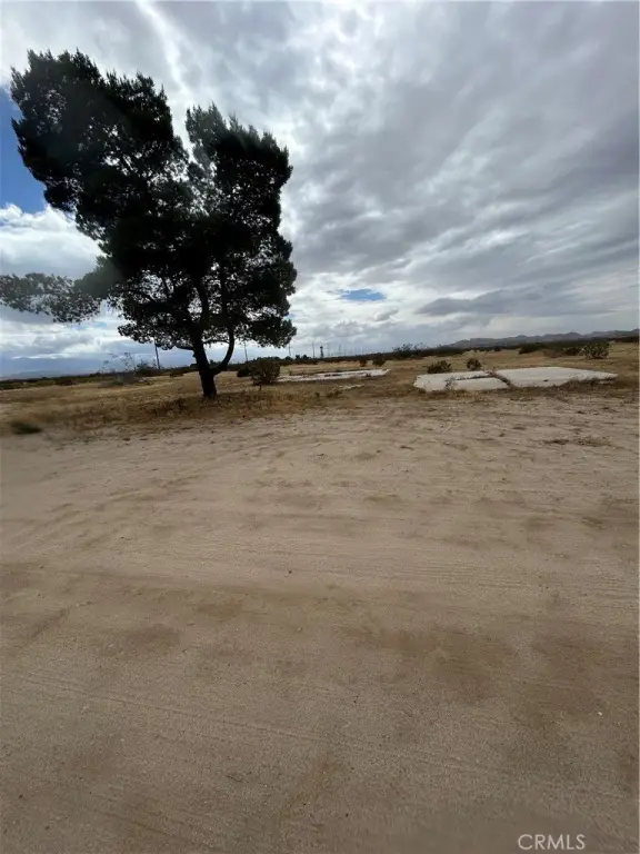 Picture 7
