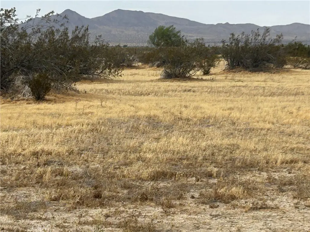 Picture 8