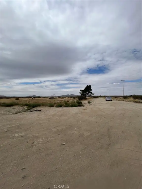 Picture 4