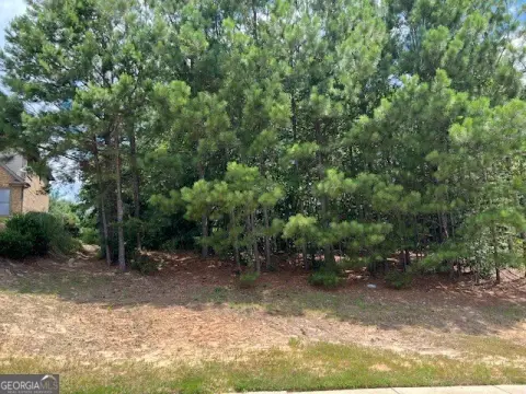 Residential Land in Flowery Branch