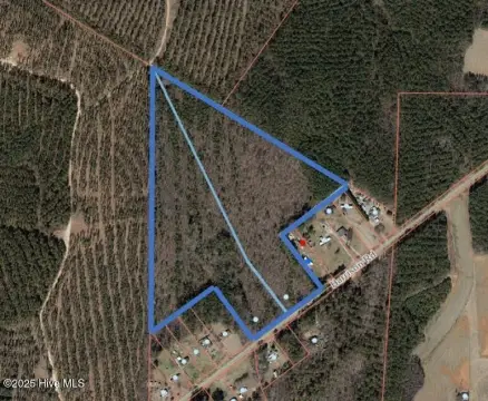 31 Acres of Hardwood Forest