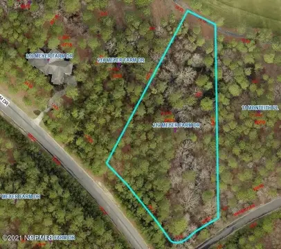 Forest Creek Oversized Corner Lot