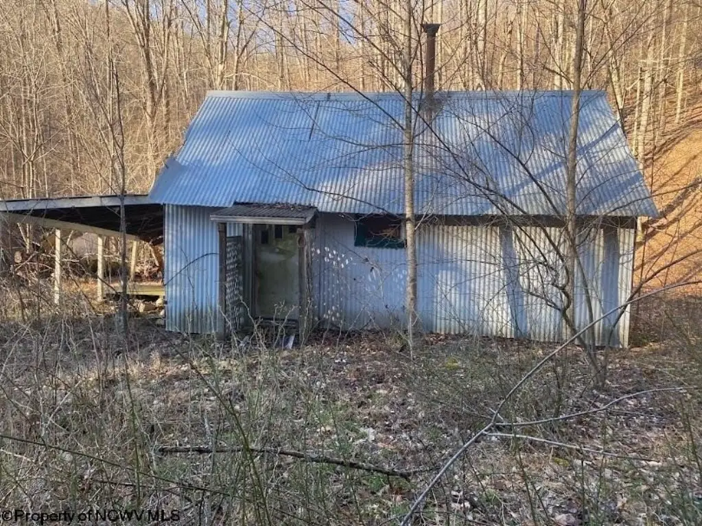 Picture 31