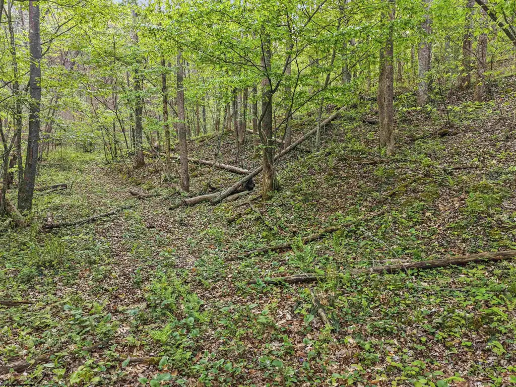 Picture 16