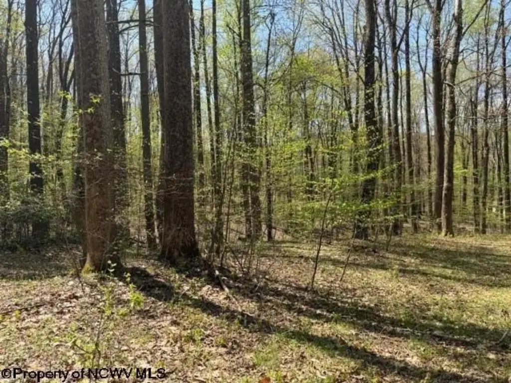Picture 4
