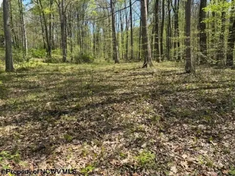 Wooded Land Near Teter Creek