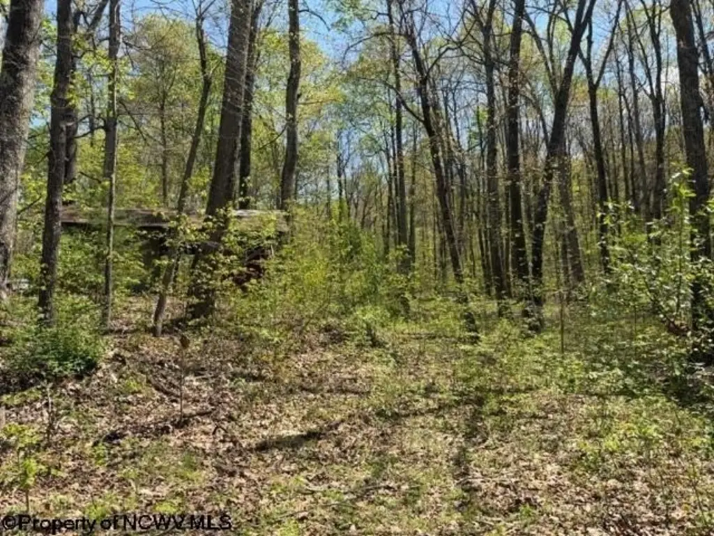 Picture 10