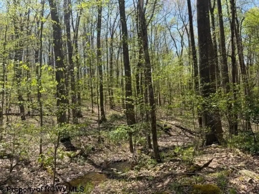 Picture 6