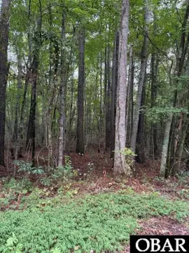 Agricultural Land Parcel