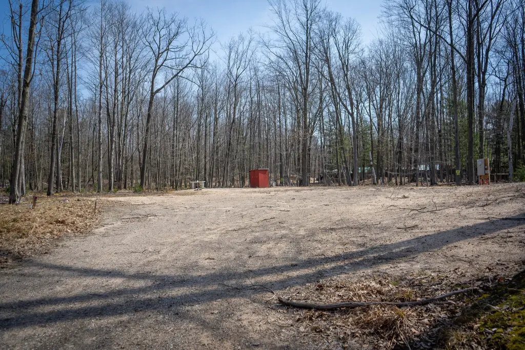 Picture 21