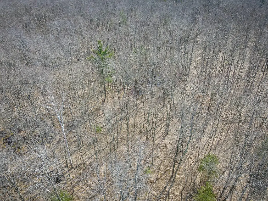 Picture 47