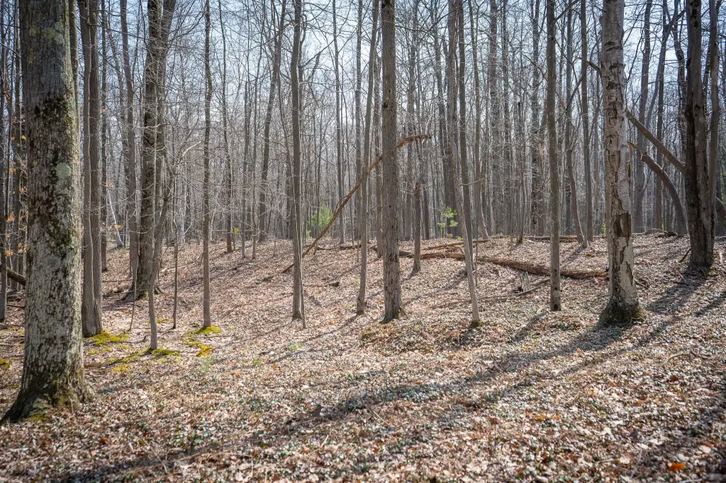 Picture 41