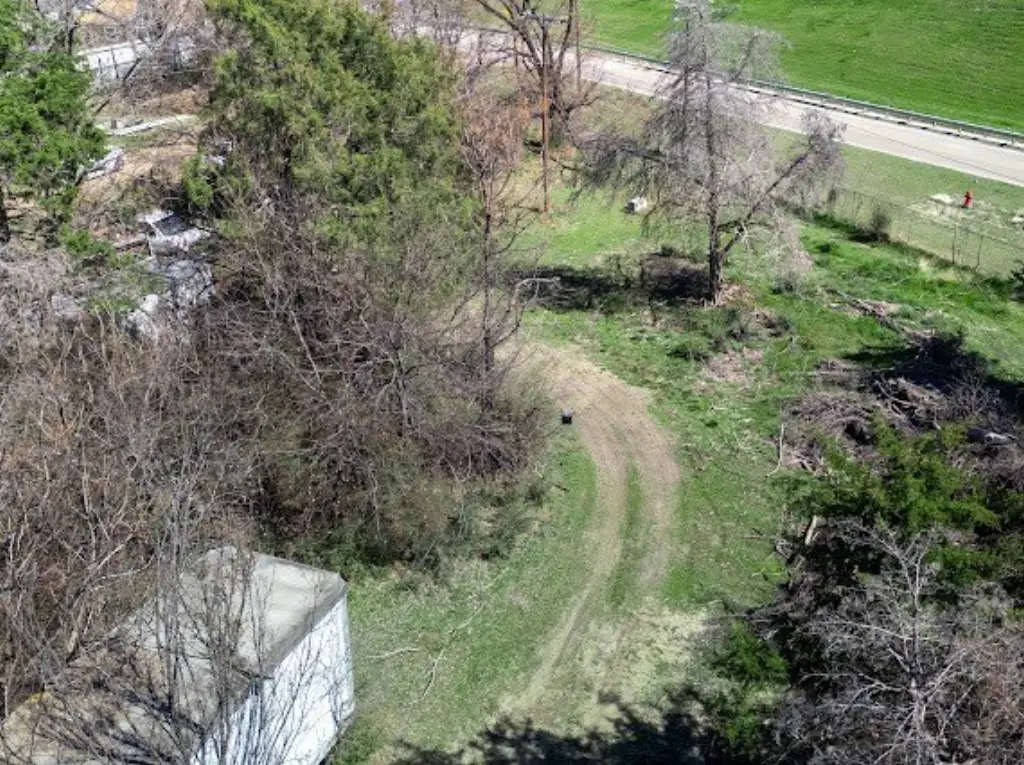 Picture 6