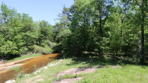 Unrestricted Wooded Acreage Near Toledo Bend