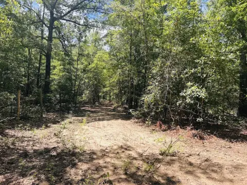 90+/- Acres Hunting Land