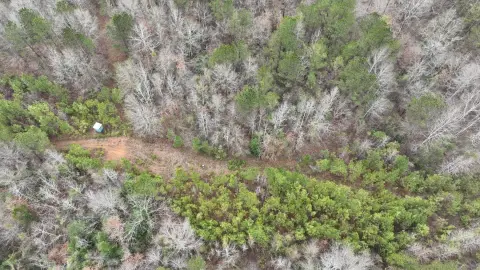 Marion, AL Vacant Hunting Land