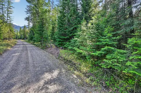 Timberland Bordering Public Forest