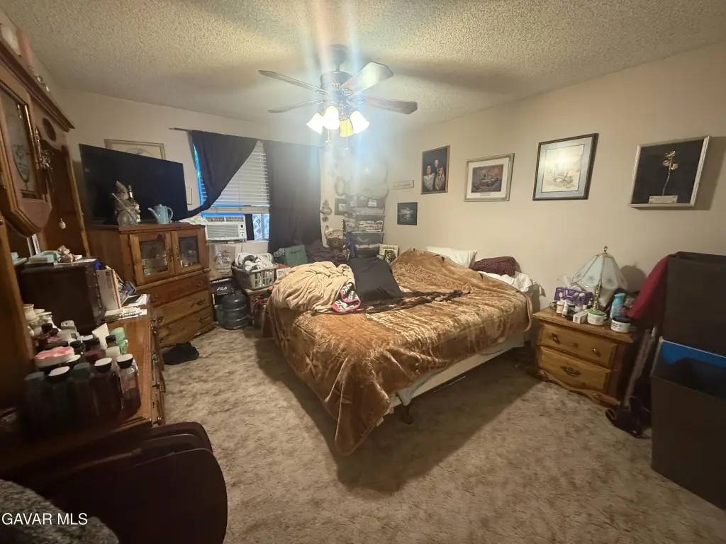 Picture 11