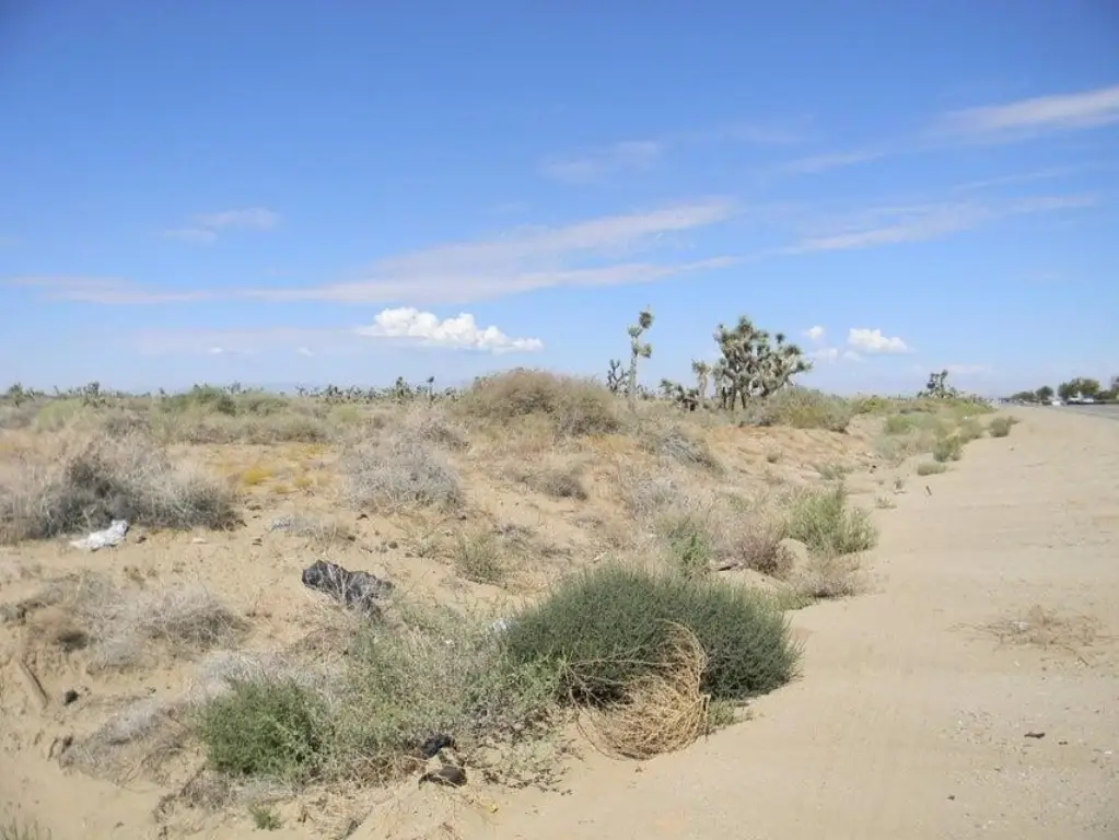 Picture 5